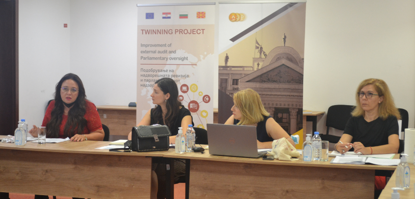 Second Steering Committee of the Twinning Project